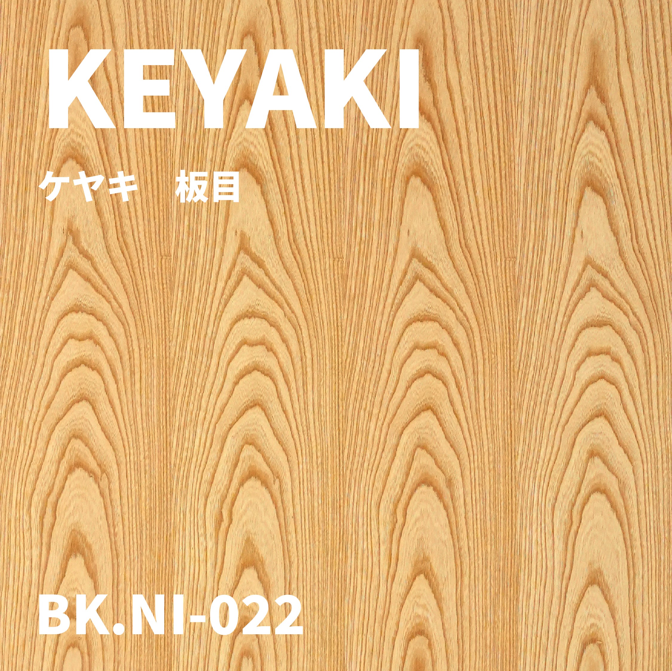 BK.NI-022　ケヤキ板目